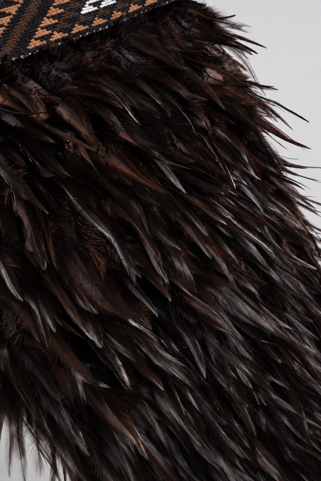 Close-up of Kahu Kiwi's deep chocolate feather texture and outward flick.