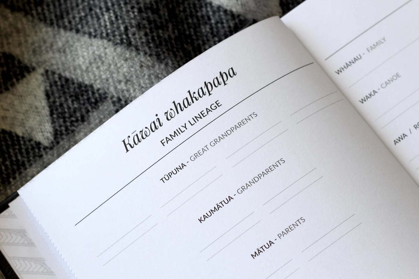 Te Ao o Pāpā - Fathers life book