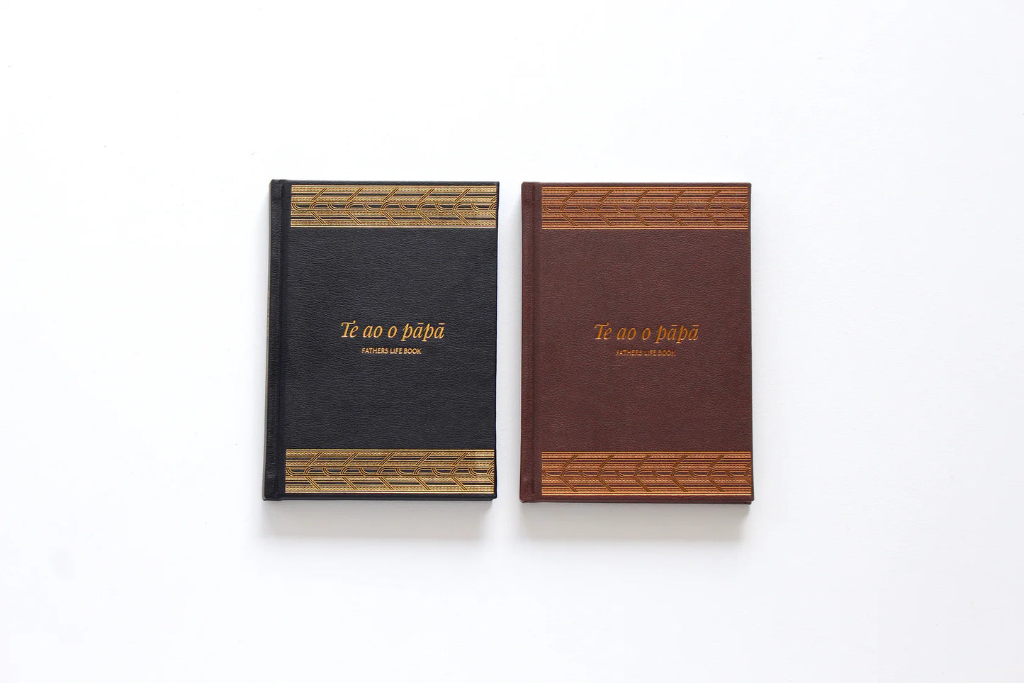 Te Ao o Pāpā - Fathers life book