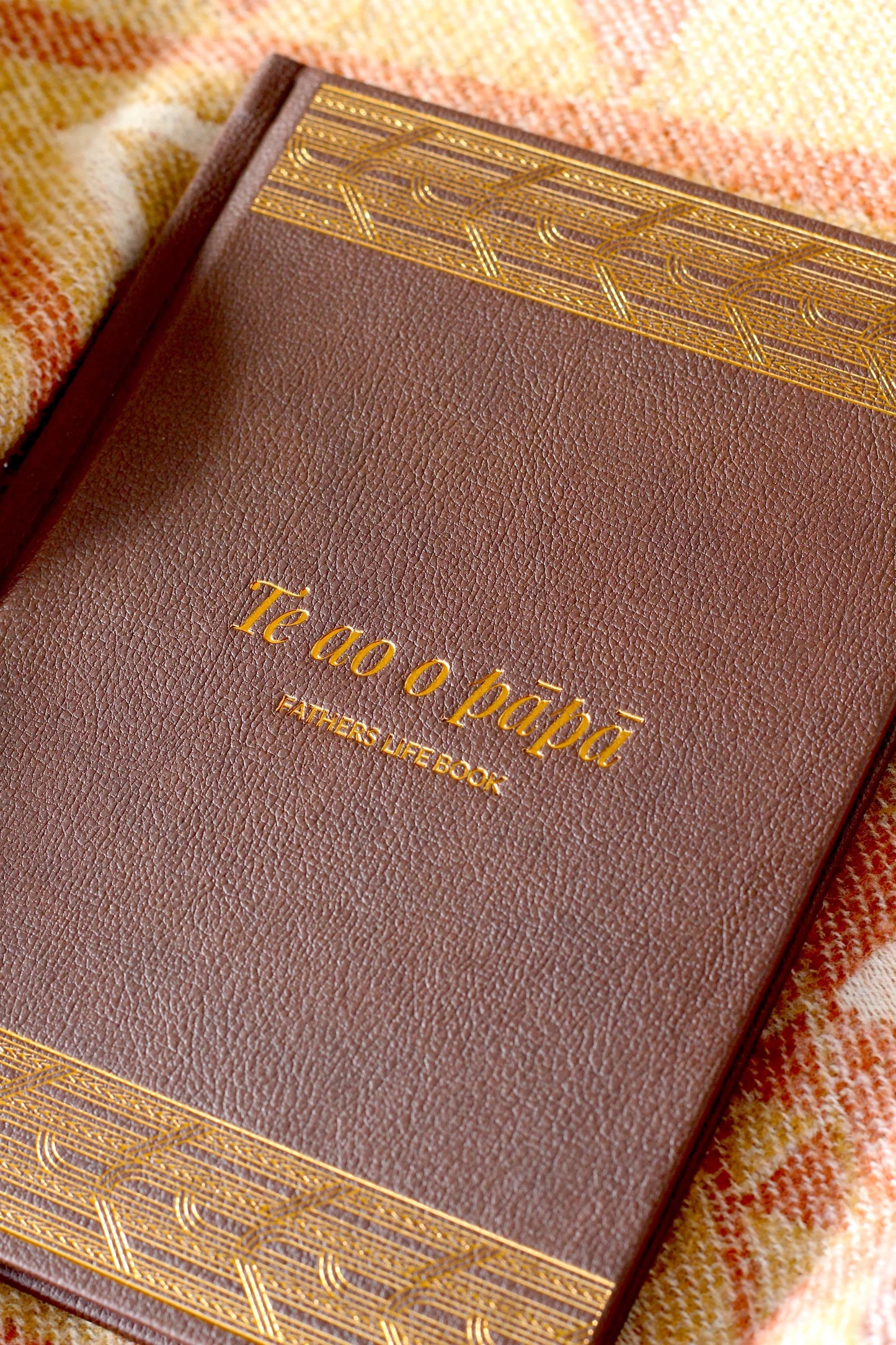 Te Ao o Pāpā - Fathers life book