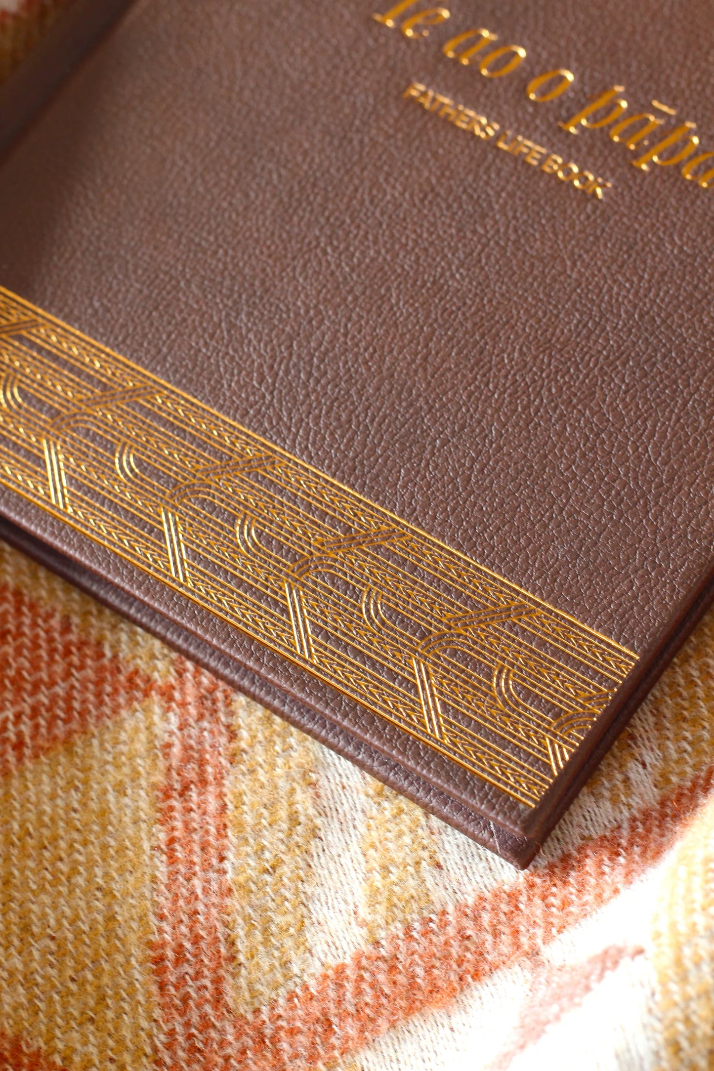 Te Ao o Pāpā - Fathers life book