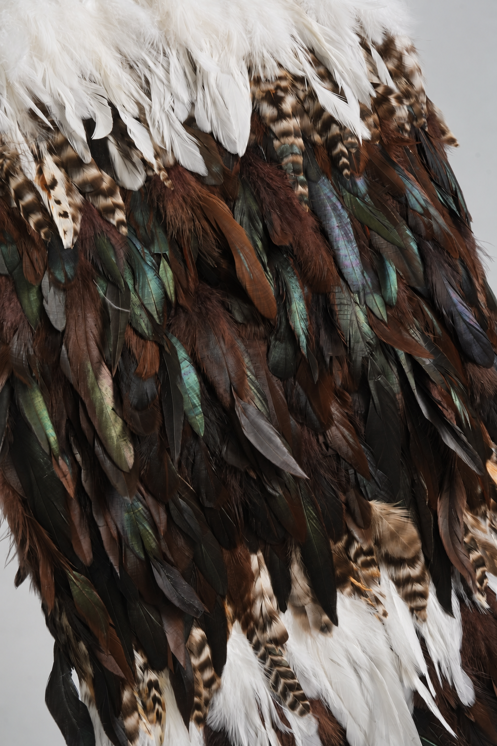 Tuku Iho feather detail showing deep chocolate tones, naturally iridescent feathers and a white feather line.